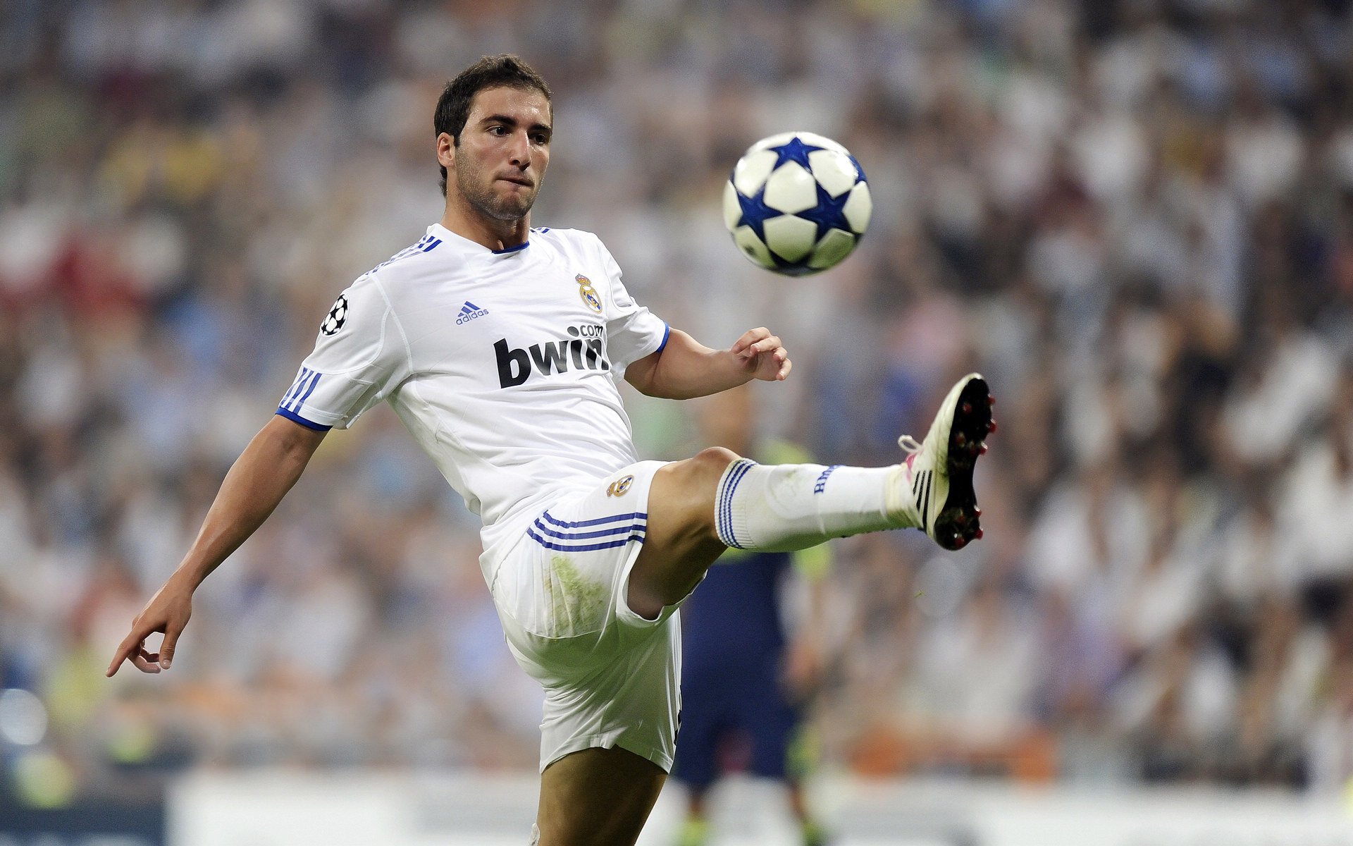 赛尔·阿尔斯塔：“铁血队长”背后的南非队核心力量